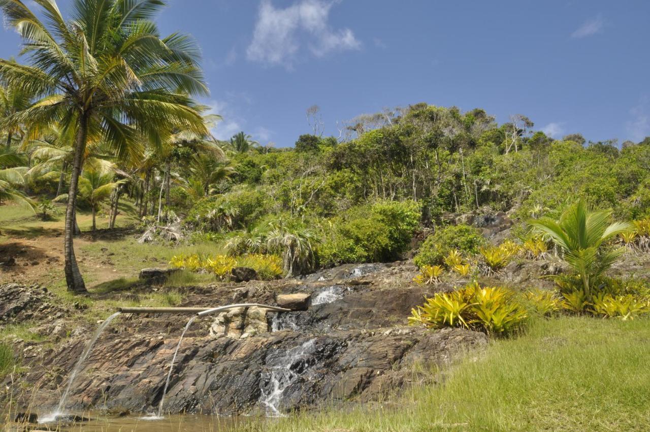 Recanto Dos Dendes Chales Serra Grande  Exteriér fotografie