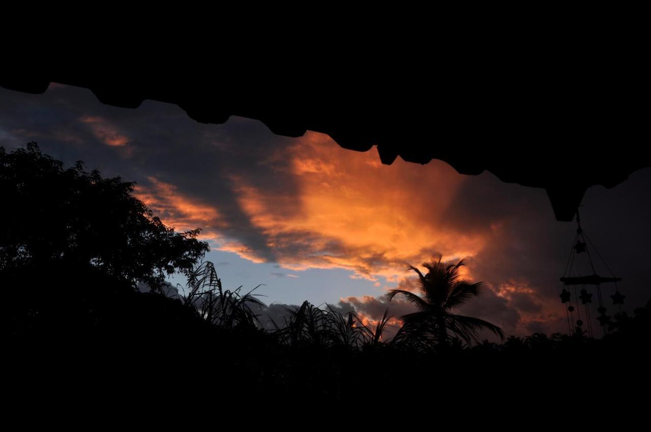 Recanto Dos Dendes Chales Serra Grande  Exteriér fotografie